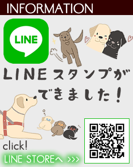 ACCg LINEX^vł܂I